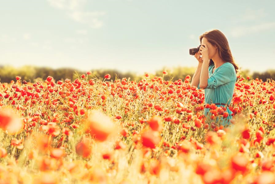 Woman taking photos in a patch of flowers.