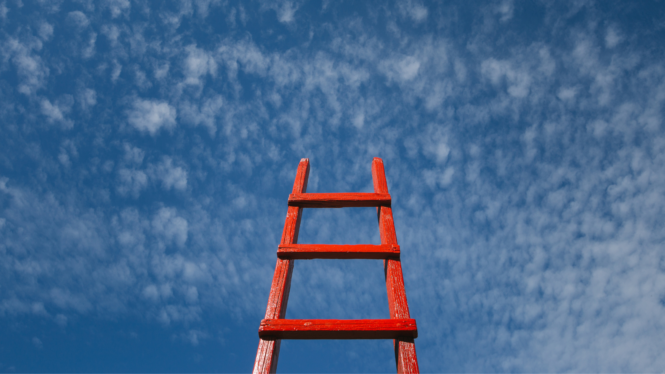 A red ladder.