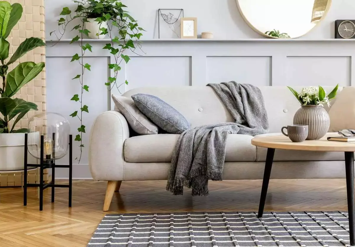 A sofa sits in a living room next to a coffee table and plant