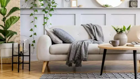 A sofa sits in a living room next to a coffee table and plant