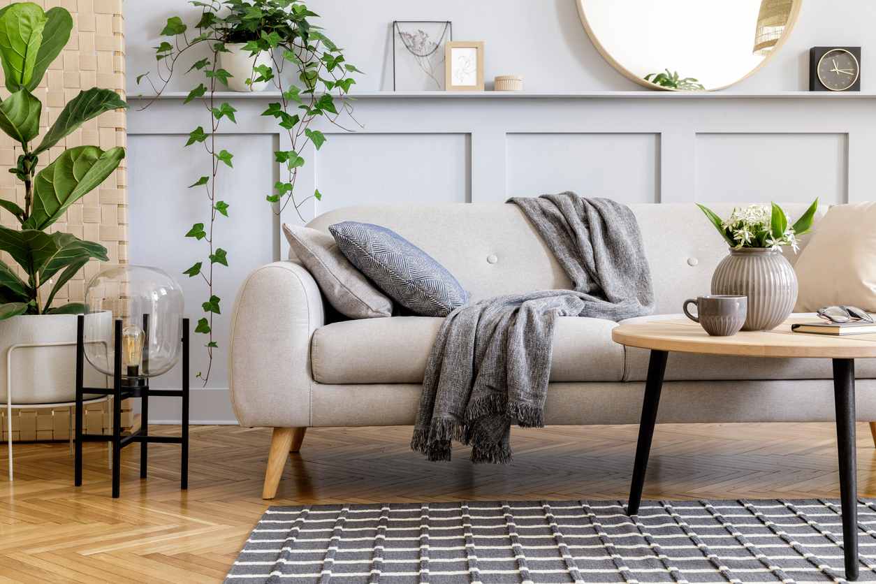 A sofa sits in a living room next to a coffee table and plant