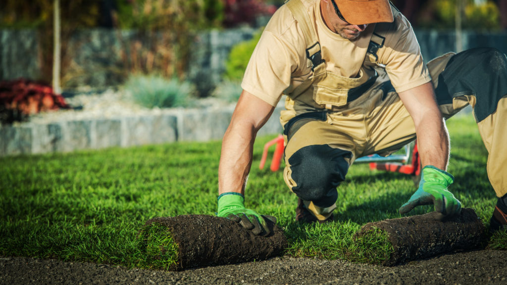 Create a Curb Appeal Plan