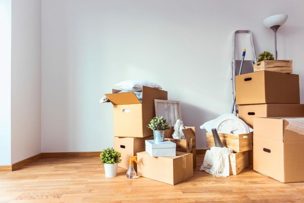 Several boxes, drawers, and plants sit on the floor, having just been moved in
