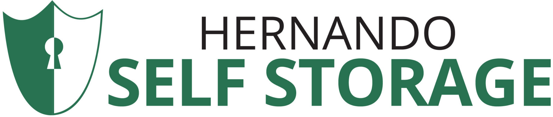 Hernando Self Storage logo.