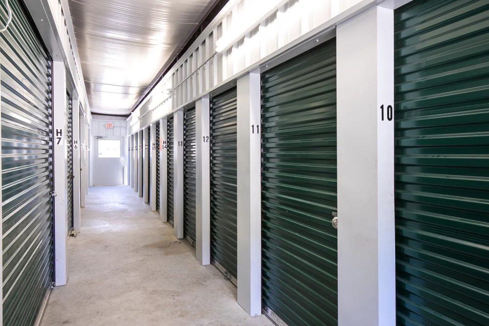 Budget Covington interior